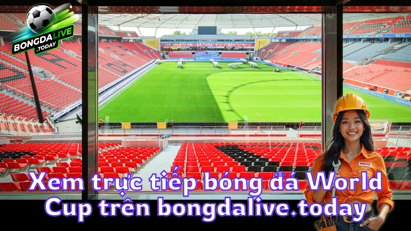 Xem trực tiếp bóng đá World Cup trên bongdalive.today