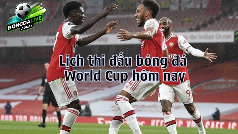 Bongdalive.today: Lịch thi đấu bóng đá World Cup hôm nay