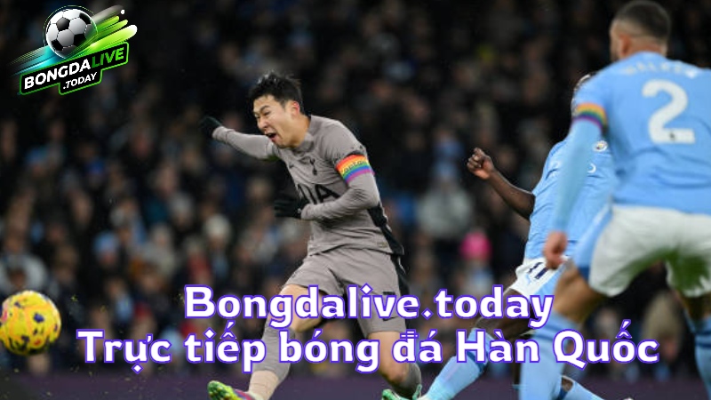 Bongdalive.today: Trực tiếp bóng đá Hàn Quốc