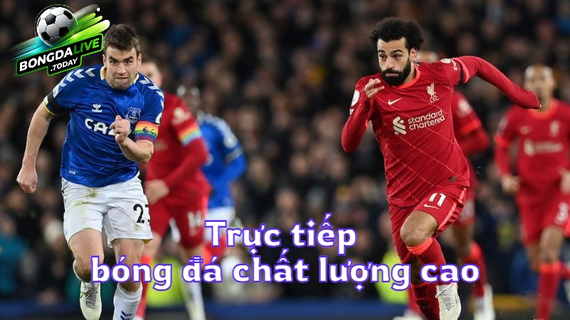 Bongdalive.today: Trực tiếp bóng đá hôm nay với chất lượng cao