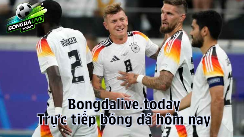 Bongdalive.today: Trực tiếp bóng đá hôm nay