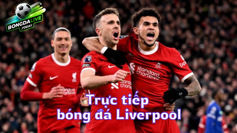 Bongdalive.today: Trực tiếp bóng đá Liverpool