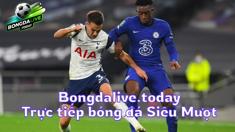 Bongdalive.today: Trực tiếp bóng đá Siêu Mượt