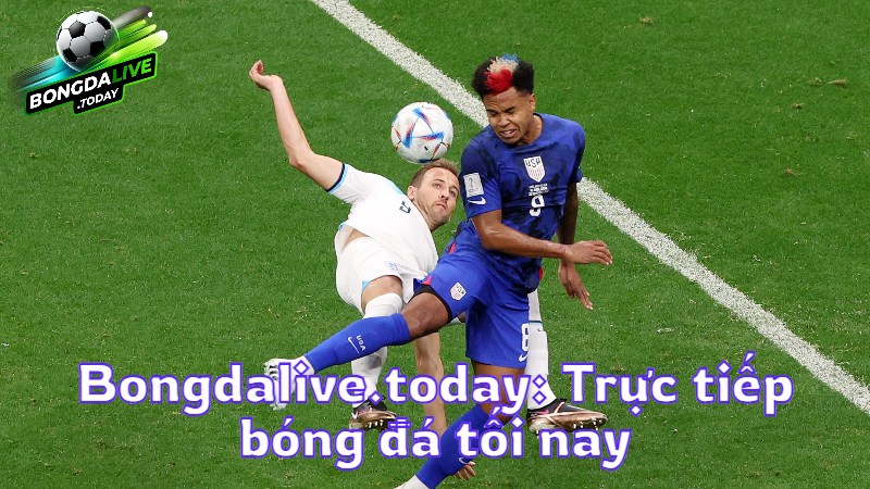Bongdalive.today: Trực tiếp bóng đá tối nay