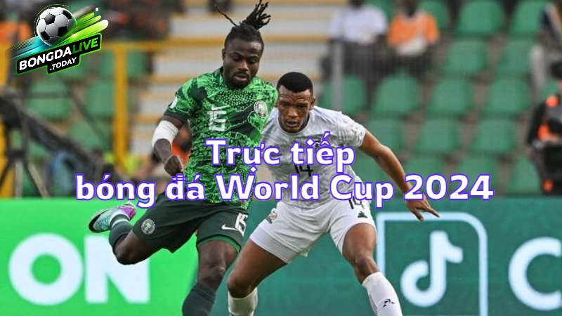 Bongdalive.today: Trực tiếp bóng đá World Cup 2024