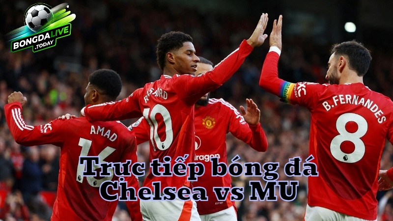 Trực tiếp bóng đá Chelsea vs Manchester United trên bongdalive.today