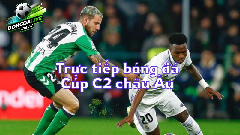 Trực tiếp bóng đá Cúp C2 châu Âu trên bongdalive.today