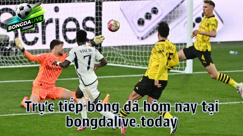 Trực tiếp bóng đá hôm nay tại bongdalive.today