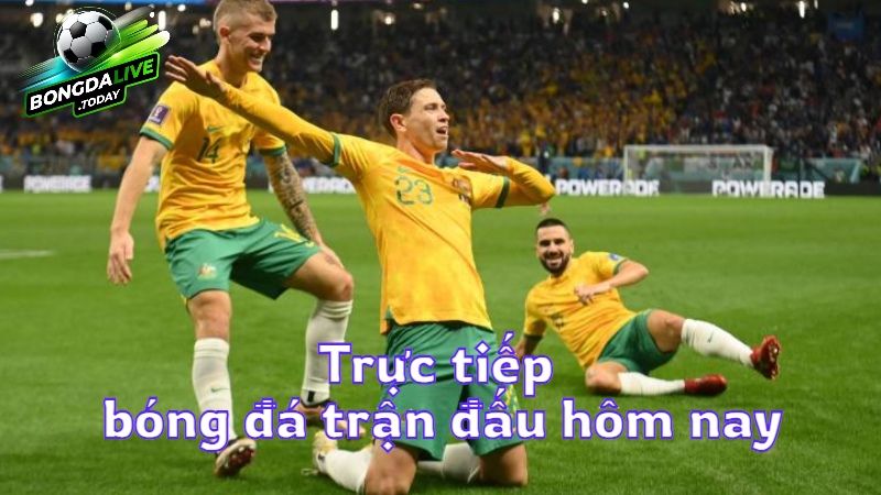 Trực tiếp bóng đá trận đấu hôm nay tại bongdalive.today