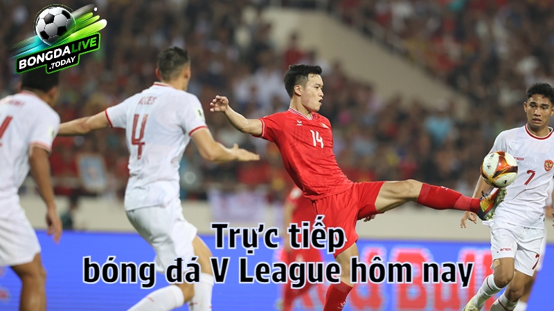 Trực tiếp bóng đá V League hôm nay trên bongdalive.today