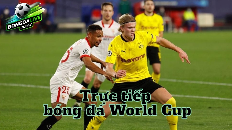 Trực tiếp bóng đá World Cup hôm nay trên bongdalive.today