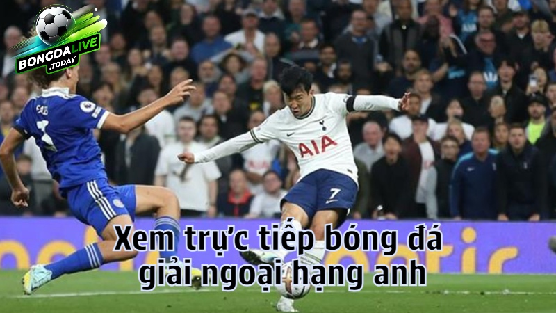 Xem trực tiếp bóng đá giải ngoại hạng anh trên bongdalive.today
