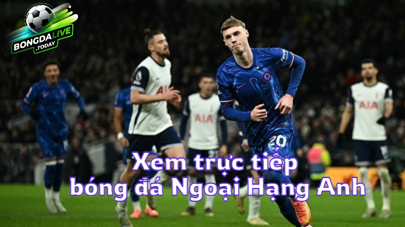 Xem trực tiếp bóng đá ngoại hạng anh hôm nay trên bongdalive.today